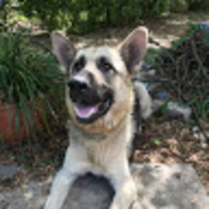 Meet your Posher, Derek